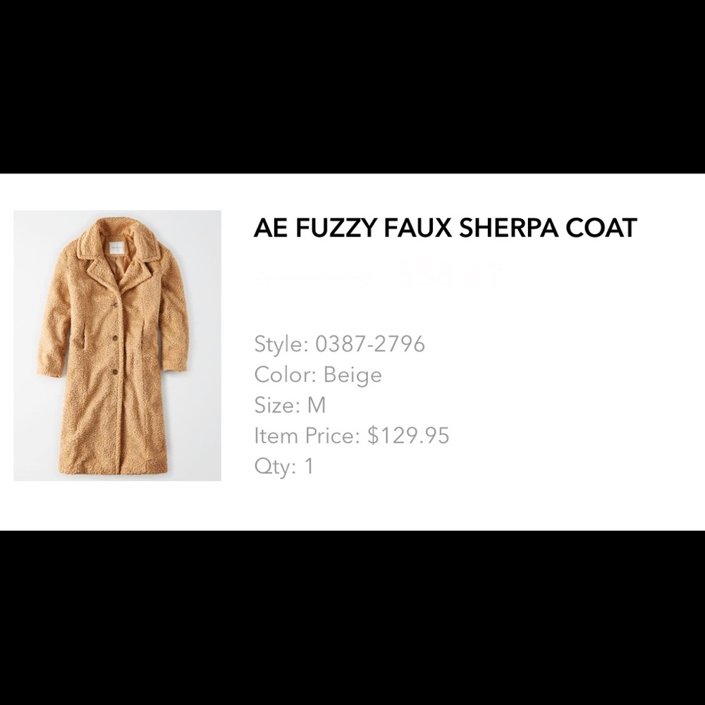 NWOT AEO Teddy Coat